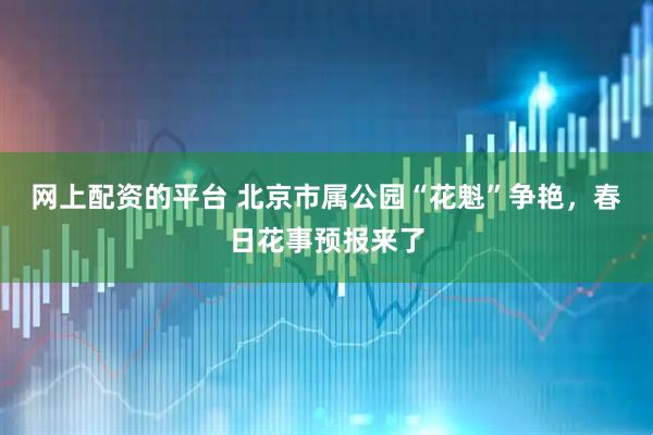 网上配资的平台 北京市属公园“花魁”争艳，春日花事预报来了